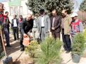 گزارش تصویری از آئیین درختکاری و تقدیر ازهمکاران فضای سبز دانشگاه